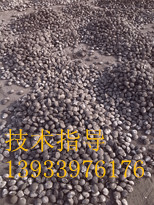 铁精粉球团粘合剂